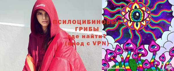 мдма Елизово