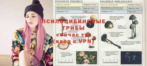 кокаин перу Елабуга