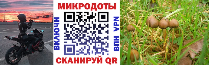 Купить закладки  Зарайск  Галлюциногенные грибы Magic Shrooms 